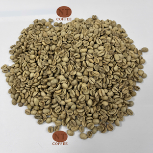 Granos de Café Verde Arábica de Vietnam Directamente de la Granja, Café Crudo de Alta Calidad, Proveedor Mayorista OEM de Marca Privada - Product Image 1