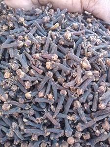 กานพลูแห้งออร์แกนิคธรรมชาติคุณภาพดีจากเยอรมนี ขายส่ง ขนาด 25 กก. - Product Image 6