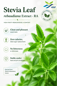 HGO Suministro directo de fábrica Extracto de hoja de Stevia natural rebaudiana (grado alimenticio) Especificación RA 70% (extracto estandarizado) - Product Image 2
