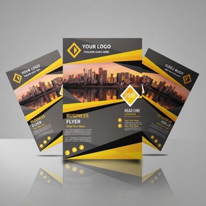 Agence de conception de prospectus dynamiques produisant des supports marketing imprimés saisissants pour accélérer l'engagement client - Product Image 3