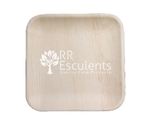 จานใบปาล์มอะเรก้าแบบเป็นชุด ผลิตจากใบไม้ธรรมชาติ ย่อยสลายได้ รูปแบบคล้ายไม้เนื้อแข็ง สำหรับงานรักษ์โลก - Product Image 2