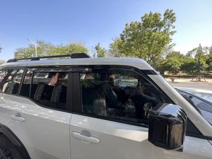 แผ่นบังแดดประตูรถยนต์สำหรับแลนด์ครุยเซอร์ 250 (J250) /แลนด์ครุยเซอร์ ปราโด 24~ปัจจุบัน - Product Image 4