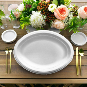 Taiwan Factory Made 100% Biodegradable PFAS-Free Medium Oval Plate Luxury Design Compostable 21g L*W*H264x200x20mm - Product Image 2