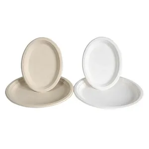 Platos Compostables de Bagazo de Caña de Azúcar de 12 Pulgadas, Ecológicos y Desechables para Uso Diario, Disponibles en Grandes Cantidades - Product Image 1