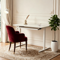 PRORIALS Bureau réglable manuellement ergonomique moderne |   Bureau debout motorisé à hauteur réglable, montage facile pour la maison/le bureau