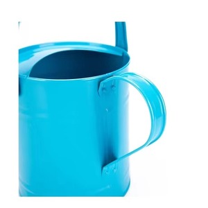 Arrosoir en métal blanc très demandé avec poignée en bois, outil de jardinage durable - Product Image 5