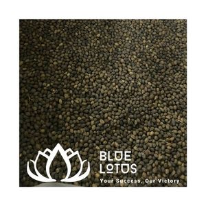 Graines de papaye séchées écologiques en gros, poudre de graines de papaye brute, matière première pour épices, directement de l'usine - Vente chaude - Product Image 1