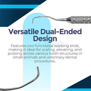 Détartreurs dentaires en acier inoxydable, instruments dentaires professionnels, détartreurs dentaires de haute qualité en vente en ligne - Product Image 4
