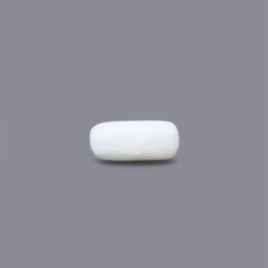 Loose Natural White Coral 3.95 Carat Certified Wholesale Gemstone - Product Image 2