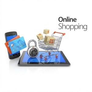 Servicios de Lanzamiento de Tiendas Electrónicas Expertas: Creando Plataformas de Venta en Línea de Gadgets Potentes para Altas Ganancias - Product Image 1