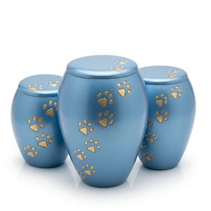 Urna Funeraria de Aluminio Azul Claro para Mascotas, con Huellas Doradas, Urnas Conmemorativas para Cenizas de Perros y Gatos, Ataúdes Funerarios Modernos - Product Image 1