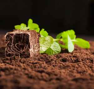 Produit écologique 2024 : Substrat en fibre de coco à prix compétitif, directement de l'usine, fabricant indien, prix de gros - Product Image 3