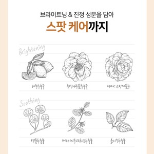 คอนซีลเลอร์เกาหลี K-Beauty Perfect Cover Light Natural 2.2 กรัม ติดทนนาน ใช้ได้กับทุกสภาพผิว ใช้งานง่ายใน 10 วินาที - Product Image 6