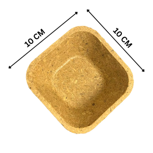 Bols jetables biodégradables naturels, carrés et arrondis, en balles de riz écologiques, vaisselle pour événements - Product Image 5