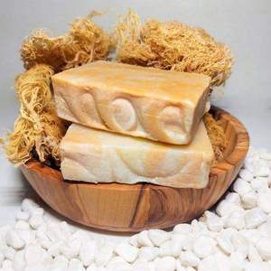 Gel minéral marin EXPAD, 100% mousse de mer biologique fraîche pour l'alimentation et les cosmétiques - Product Image 1