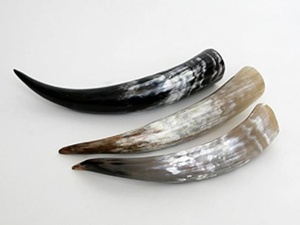 Corne de buffle naturelle originale, ensemble de cornes artisanales, corne à boire médiévale authentique pour méad et ALE, style Viking - Product Image 4