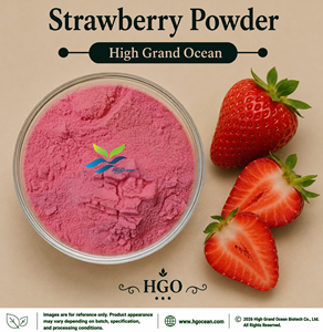 HGO Factory Direct Supply of Pure Natural Strawberry Powder (Food Grade) Fruit powder <b>Spray</b> Drying or Freeze-dried powder - Product Image 1