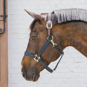 Equestrian Sports Products Horse Nylon <b>Halters</b> Customized Sizes Available in Cheap Price in Pakistan - Product Image 4
