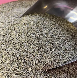 Premium Cumin <b>Seeds</b>-RAUTIMPEX INTERNATIONAL Brand Natural Agriculture Food Use India Origin Ghaziabad Dry <b>Storage</b> 12 Months - Product Image 4