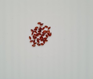 Natural Red <b>Garnet</b> 5x2.5MM Marquise Cut Best Quality Loose Gemstone for Jewelry Making - Product Image 3