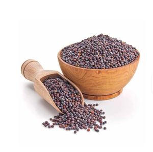 Graines de moutarde brune aromatiques de qualité supérieure pour des préparations culinaires savoureuses au meilleur prix auprès du fournisseur Graines de moutarde noire - Product Image 2