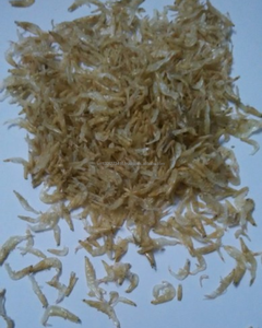 Camarones Pequeños Premium para Alimentación Animal – Fuente Natural de Proteína de Vietnam - Product Image 3
