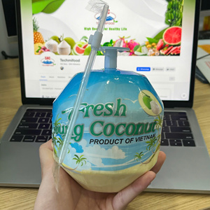 Noix de coco jeune fraîche du Vietnam, entière, forme diamant, peau verte, qualité export, longue durée de conservation TECHMIFOOD Vietnam - Product Image 4