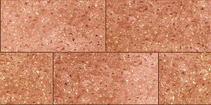 Carreaux muraux Premium Choice de qualité supérieure, carreaux d'élévation Asia Tiles 300x600mm pour articles de santé. - Product Image 4