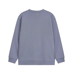 2025 vente chaude 100% coton polaire léger surdimensionné hommes sweat à capuche avec lettre réfléchissante imprimer hiver Streetwear - Product Image 2