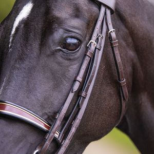 Nueva Llegada: Brida para Caballo, Accesorios de Equitación, Equipo de Montar Ajustable, Cuero Genuino de Vaca - Product Image 3