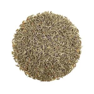 แกงดิบทำจากยี่หร่า (jeera) ออร์แกนิกธรรมชาติสำหรับผลิตอาหาร - Product Image 6