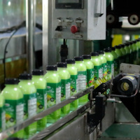 Meilleur produit Smoothie 500ml bouteille échantillon gratuit jus de fruits tropicaux ODM OEM NAWON vente en gros usine au Vietnam GMP ISO HALAL
