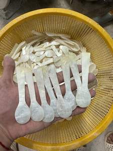 Mother of Pearl Caviar Spoon Handmade Natural <b>Shell</b> Spoon Luxury Dessert Spoon for Caviar Serving Kitchen Tableware - Product Image 4