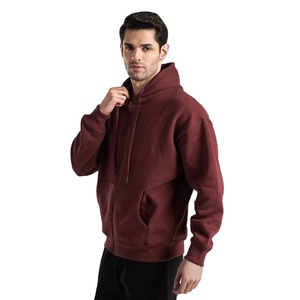 Sweat-shirt à capuche épais pour homme, 500 GSM, en molleton de coton, pour l'hiver, personnalisable, fournisseur OEM, marque privée - Product Image 2