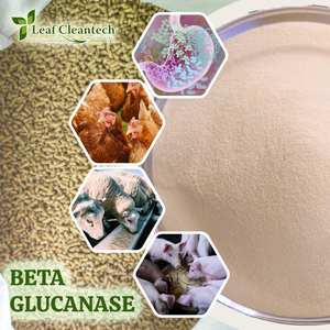 Beta Glucanase <b>Enzyme</b> for Animal Feed-Enhances Digestion-Nutrient Absorption-Gut Health from India | Animal Feed <b>Enzymes</b> | - Product Image 3