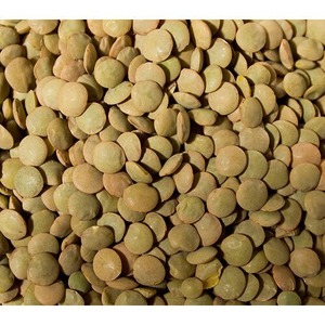 Lentilles vertes en vrac de qualité supérieure pour les fabricants alimentaires commerciaux et la distribution en gros - MOQ accepté - Product Image 2
