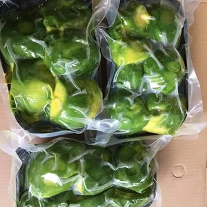 เนื้ออะโวคาโดแช่แข็งพรีเมียม ผู้จัดจำหน่ายเวียดนาม คุณภาพส่งออก - Product Image 1