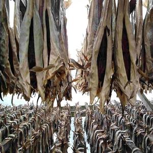 Authentic Norway cod dry stockfish frozen for extended freshness delivered in 30 to 45Kg bale size for <b>large</b> scale seafood - Product Image 6