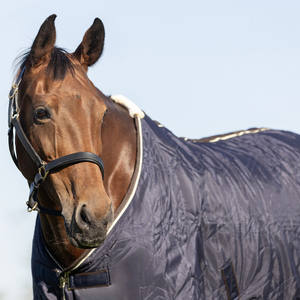 Couverture anti-mouches pour chevaux, en maille respirante légère, pour l'été, col standard, pour l'équitation, fabrication OEM bienvenue - Product Image 4