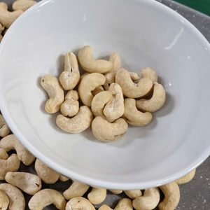 Nueces de Anacardo a Granel de Fábrica Confiable SANTIGO Noix De Cajou Exportadas a Todo el Mundo - Product Image 1