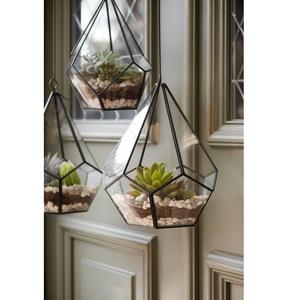 Terrarium en verre artisanal avec couvercle pivotant pour plantes en mousse ou plantes aériennes – Contenant artistique transparent pour la décoration intérieure moderne - Product Image 5