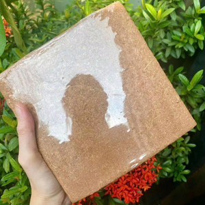 Bloque de Fibra de Coco Ecológico Eco2go Vietnam |   Sustrato de Cultivo Biodegradable de Bajo EC y Alta Retención de Agua, Listo para Usar, para Vegetales - Product Image 1