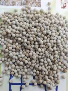 630GL พริกไทยขาวจากเวียดนาม - Product Image 3