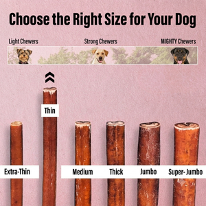 Barras de Carne para Perros, Masticables de Alta Proteína para el Cuidado Dental y la Estimulación Mental, Golosinas Duraderas, OEM, ODM, Marca Privada, Venta al Por Mayor - Product Image 2