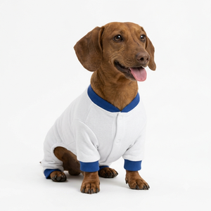 OEM <b>Pet</b> Pullover Plain Hoodie with <b>Brushed</b> Fleece for Winter Wear Premium Soft Stylish Cute Trendy New Cozy Durable - Product Image 5