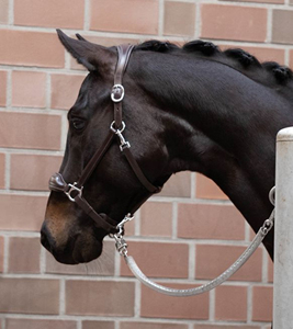 Top Quality Equipment Italian Leather Fancy Horse Halter Horse Riding <b>Equestrian</b> with Soft Calf Skin Inner Padding Noseband - Product Image 5