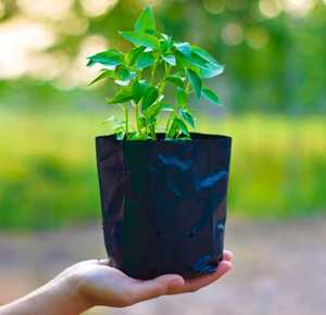 Sacs de culture en plastique noir réutilisables avec trous de drainage pour jardin domestique - Product Image 1