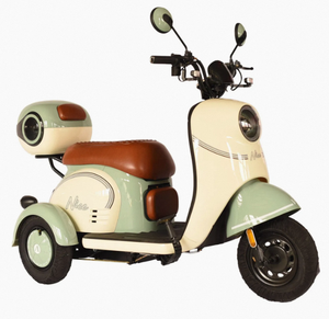 รถสามล้อไฟฟ้าอเนกประสงค์ราคาประหยัดรุ่นใหม่ปี 2025 ทำจากอลูมิเนียม พร้อมที่จับพลาสติก รับประกัน 3 ปี สำหรับผู้โดยสาร รับผลิตแบบ OEM และ DIY - Product Image 1