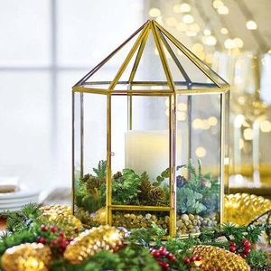 Terrario Moderno de Vidrio, Forma Pentagonal, Contenedor para Plantas de Interior, Diseño Minimalista de Escritorio, Marco de Vidrio Transparente - Product Image 5