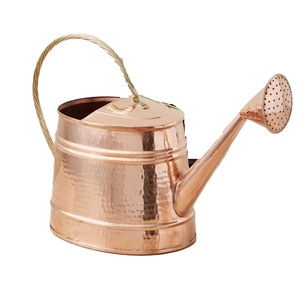 Arrosoir en métal vert foncé, robuste et rond, résistant à la rouille, pour jardin, plantes et fleurs – Produits en promotion - Product Image 2